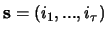 $\mathbf{s}=(i_1,...,i_\tau)$