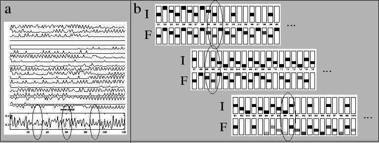 \includegraphics[width=17cm]{bc_memory.eps}