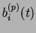 $ {x_i^{(p)}}^*$