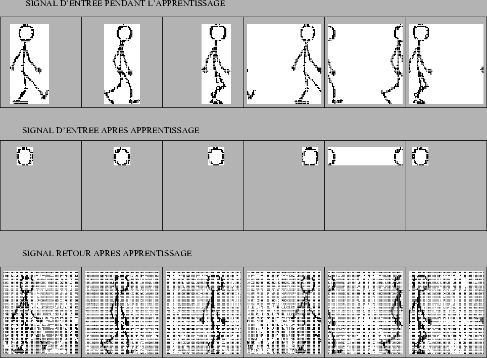 \includegraphics[]{marche_mnet.eps}