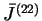 $ \bar{J}^{(22)}$